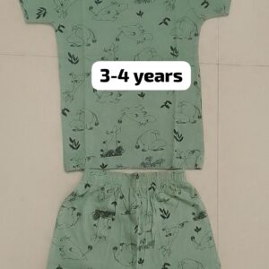 Branded Unisex Green Summer Co-ord Set (T-Shirt + Trousers) for 3–4 Years – Lightweight & Stylish Outfit