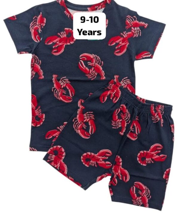 Unisex Cotton Co-ord Set (T-Shirt + Shorts) for 9-10 Years – Red Casual Wear